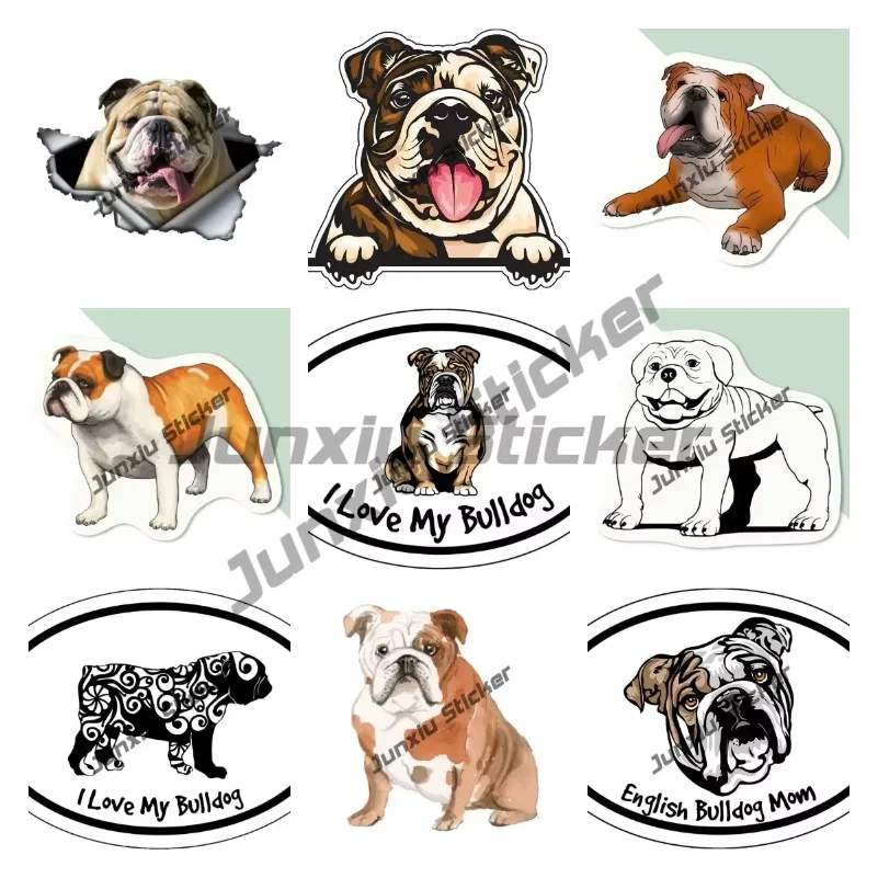 

Smiling English Bulldog Vinyl Decal English Bulldog Cartoon Dog Breed Sticker for Laptops Tumblers Windows Cars Trucks Walls