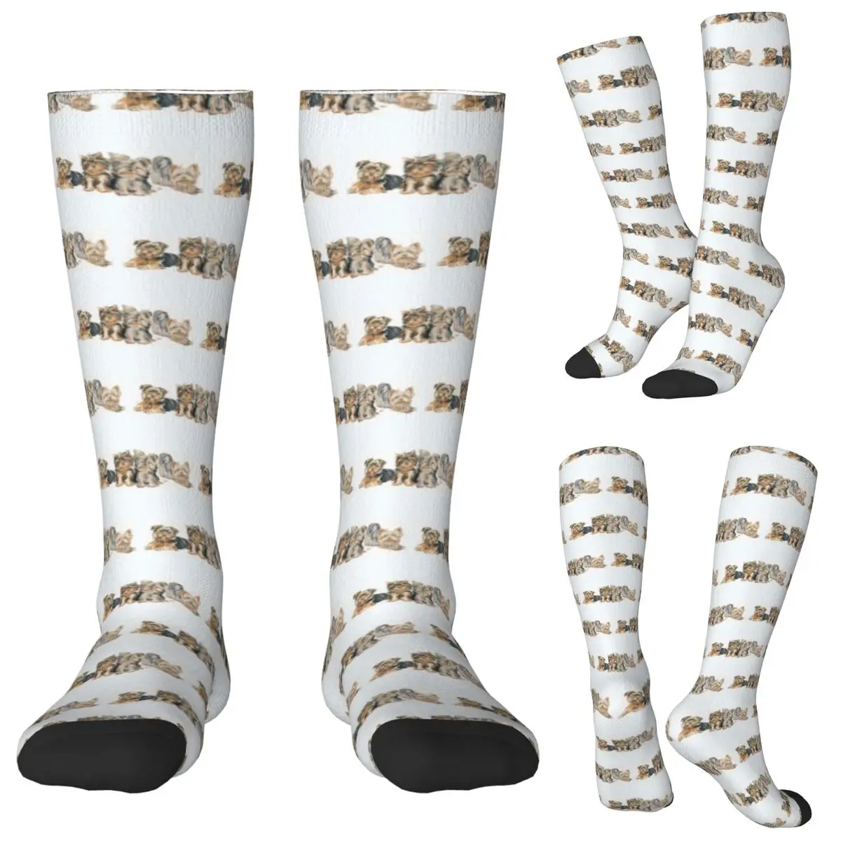 Yorkshire Terrier Puppies Socks Harajuku Stockings All Season Long Socks Accessories for Man Woman Gifts