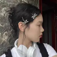 2PCS/4PCS Y2K Millennium Alloy Dragonfly Animal Hair Clips in a Row - Image 4