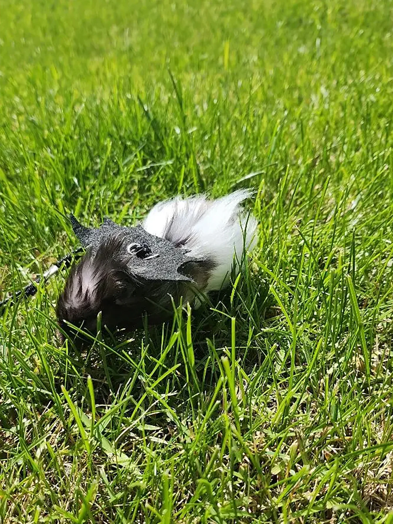 1 Stück Kleintier Hamster Zugseilgurt, Hamster Blumenzweig Ratte Ausgehen Leine – Detail 1