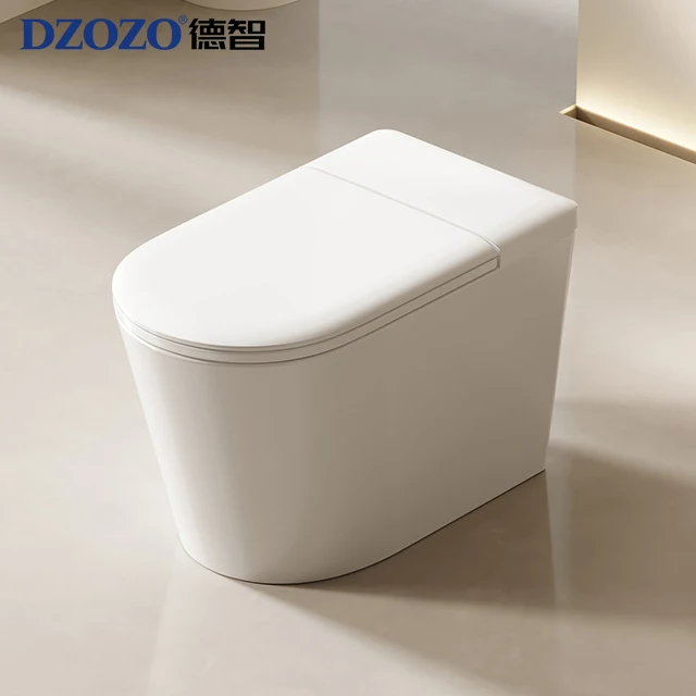 

Automatic Intelligent Smart Toilet Bathroom 110v/220v Electric One Piece Bidet Toilet with Remote Control