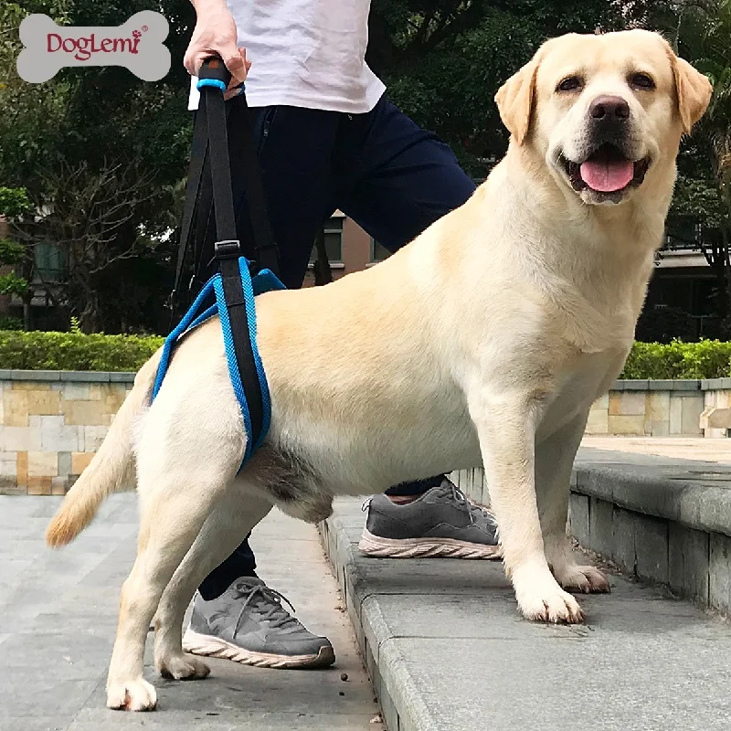 

Pet Dog Leg Lift Harness Auxiliary Strap for Large Dogs Pet Rear Leg Support for Old Disabled Joint Injuries Dog Back Leg Hold