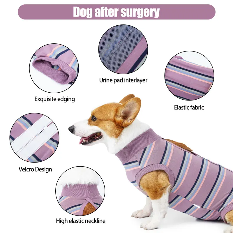 Recovery Suit for Dogs After Surgery, Professional Pet Recovery Shirt, Dog Abdominal Wounds, Bandages Diaper Pads Available