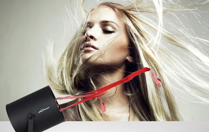 220v NICE Professional Photography dedicated hair Fan for studio flash SF-01 Free DHL