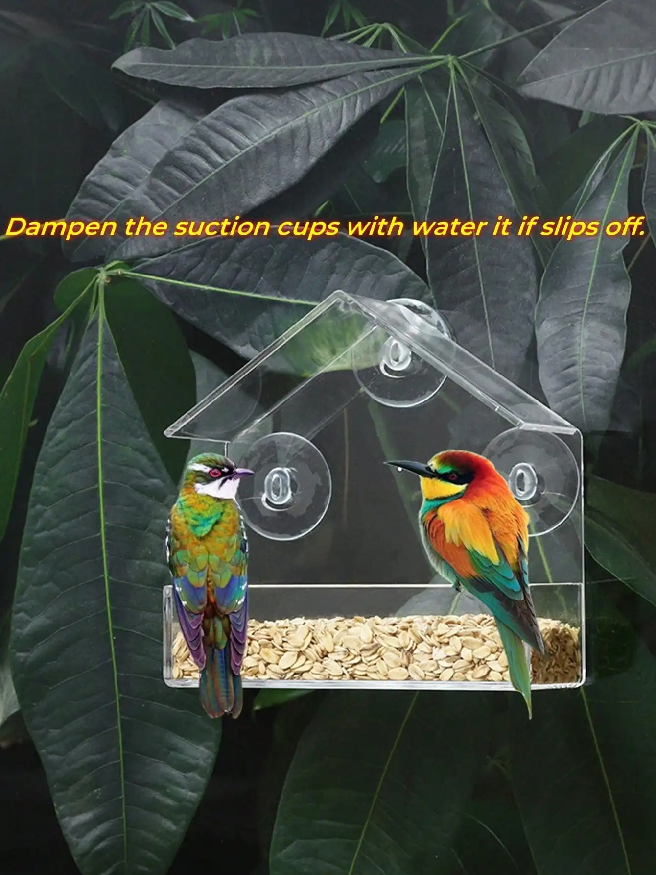 Thumbnail 4 - #46 Compare Birdhouses Before You Buy