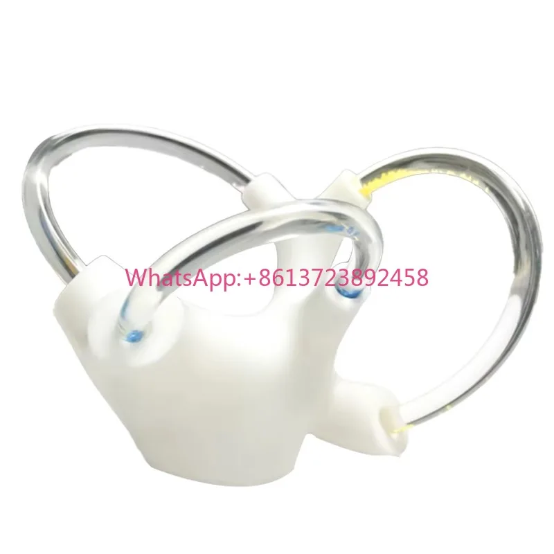 Suitable for Semicircular Canal Otolith Model Dynamic Skeleton Cochlea Inner Ear Structure Brain Nerve Vestibular Rehabilitation