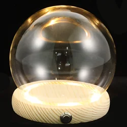 Hand-Made Glass Cover Dome LED Decor Plant with Glowing Base Cloche Wooden Preserved Flower Display Case Decorate Toddler
