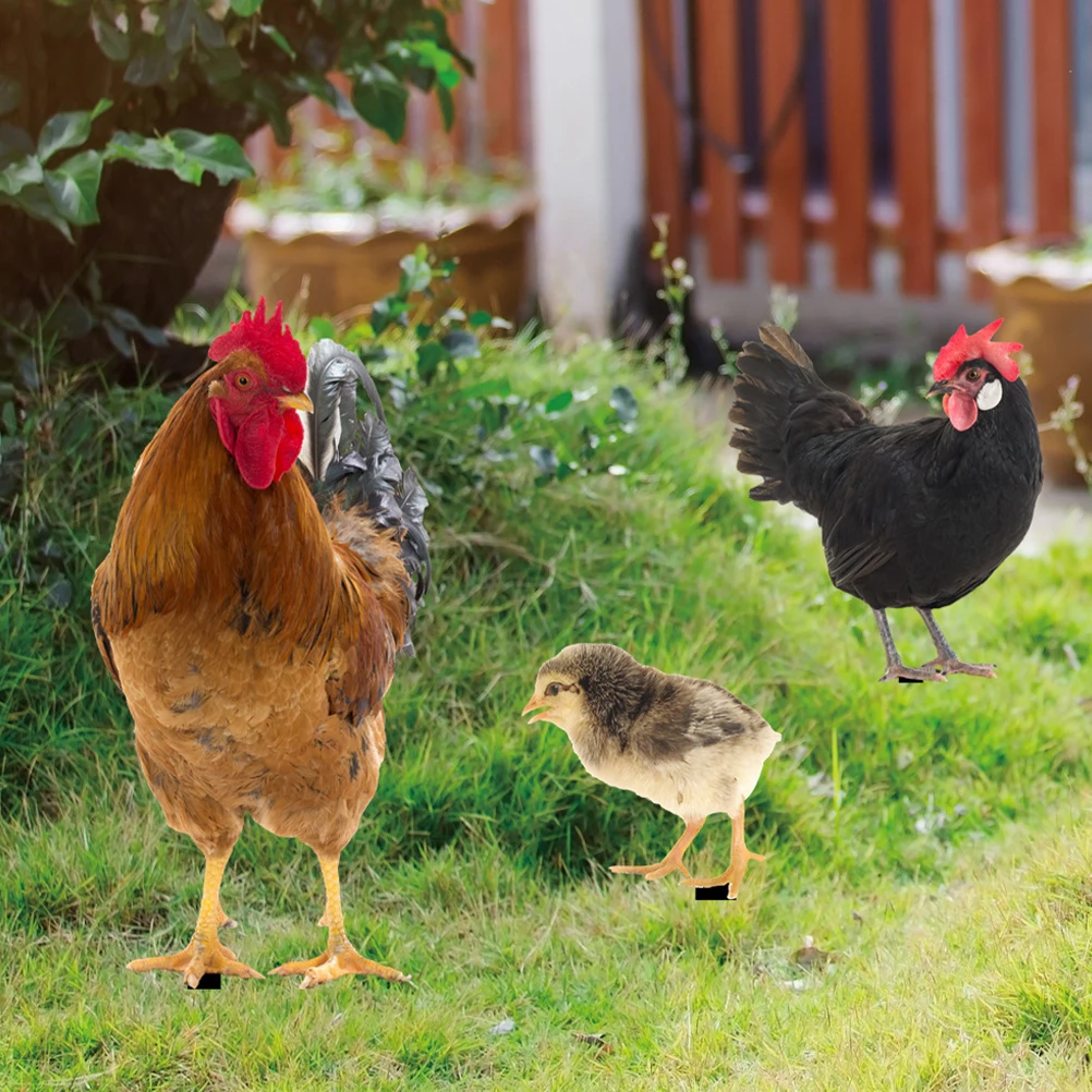 

Decorative Garden Inserts Chicken Sculpture Lawn nament Stake Yard Sign Farmhouse Style Outdoor Decor Photo Prop Garden
