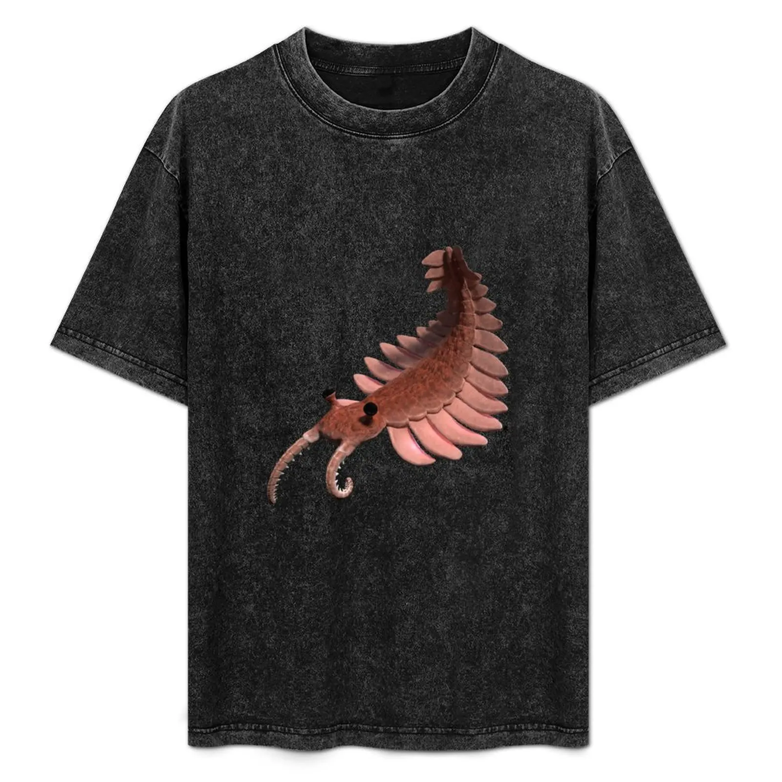

Anomalocaris, creature of the Cambrian period T-Shirt animal prinfor boys clothes custom shirt mens cotton t shirts