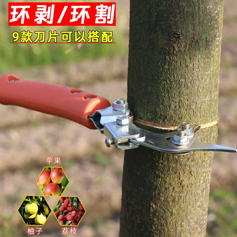 Pomelo Orange Ring Cutting Knife Lychee Tree Fruit Tree Adjustable Apple Citrus