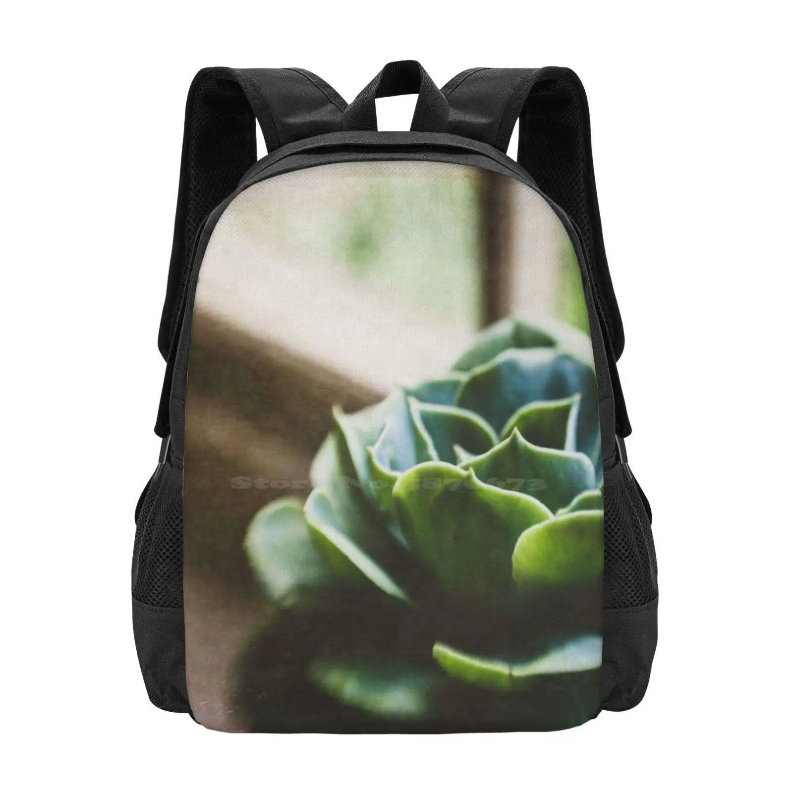 Succulent In The Window Hot Sale Backpack Fashion Bags Succulent Window Ledge Window Sill House Plant Indoors Green Phootgraph