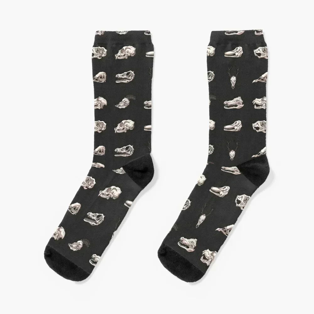 Animal skulls dark Socks cotton designer Running Socks Men's Women's