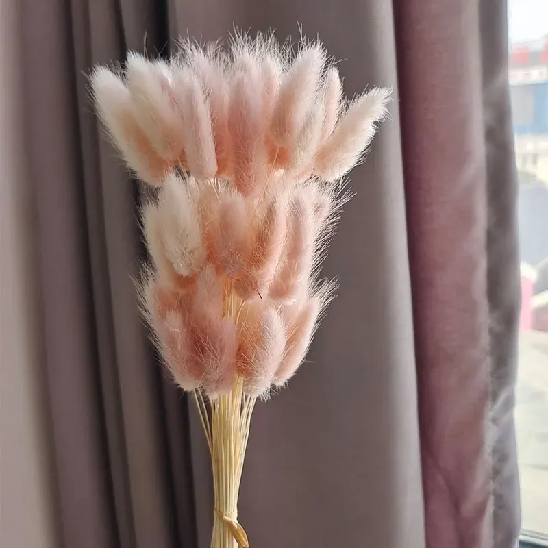 Variant: Light pink