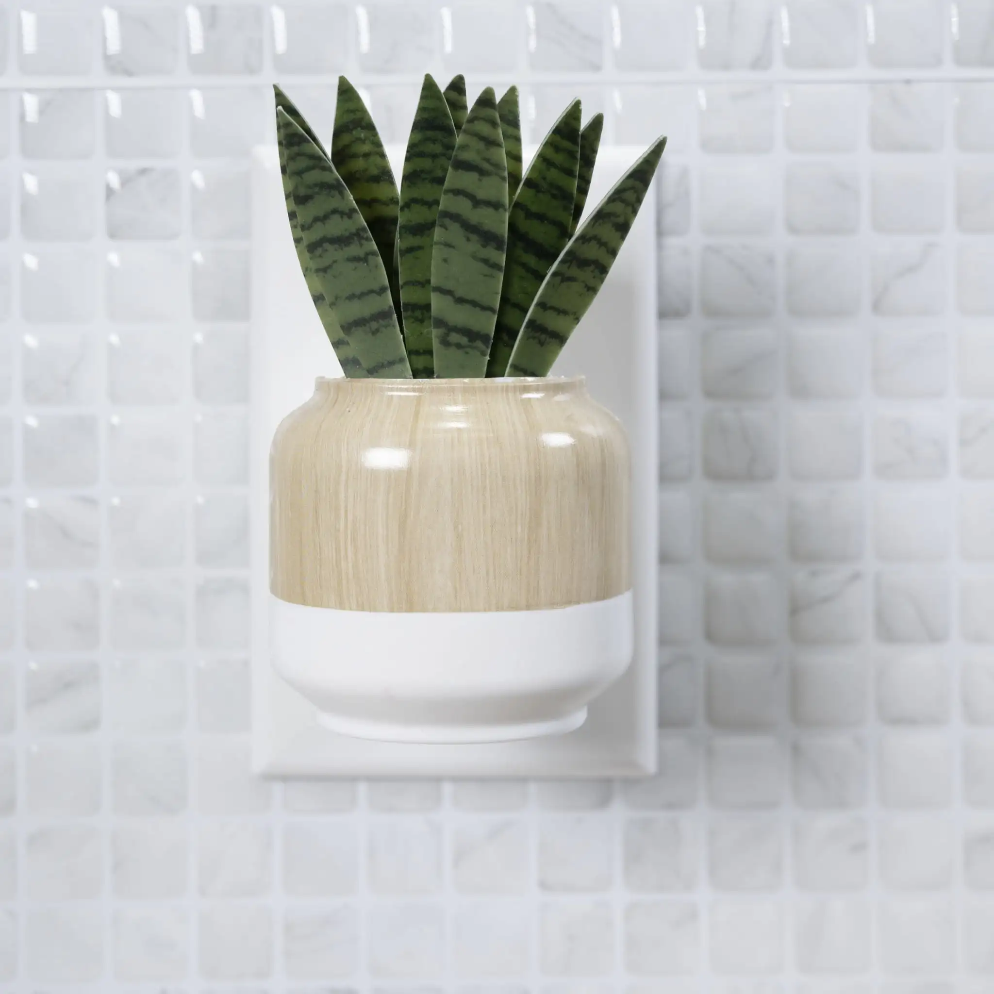 Aroma Accents Fragrance Plug, Snake Plant, Modern, Farmhouse