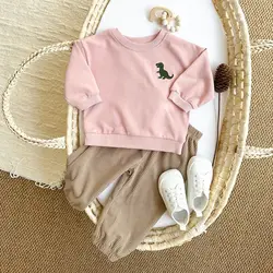 Autumn Newborn Baby Clothes Outfits Dinosaur Embroidery Leisure Cute Boys Girls Clothes Long Sleeved Sweatshirt+Pants Spring Set