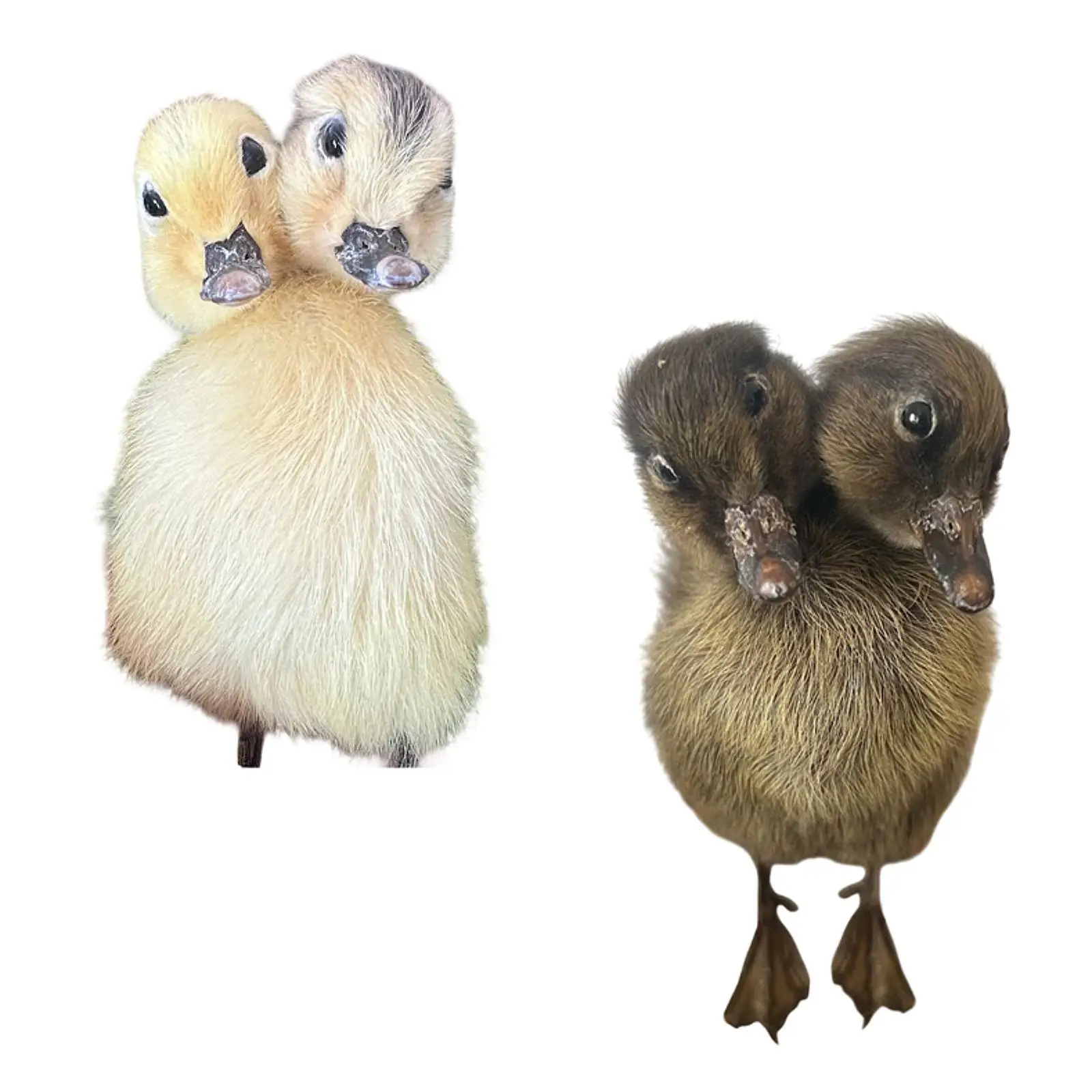 Realistic Furry Duck Figurine Artificial Duckling Model for Garden Yard Farm