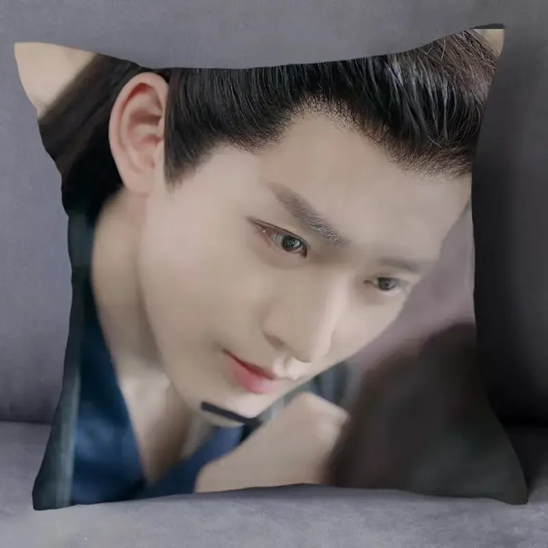 TV Series Meet The Dragon Deng Wei Same Style Pillowcase Star Series Cushion Cover Home Decor Throw Covers Idol Souvenir Gift