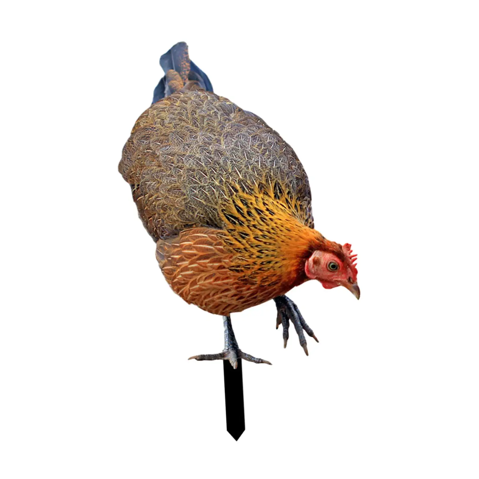 Garden Hen Floor Decoration Easter Decor Sign Figurines Lifelike Gift Weatherproof Animal Statue Stakes for Farm Patio Courtyard