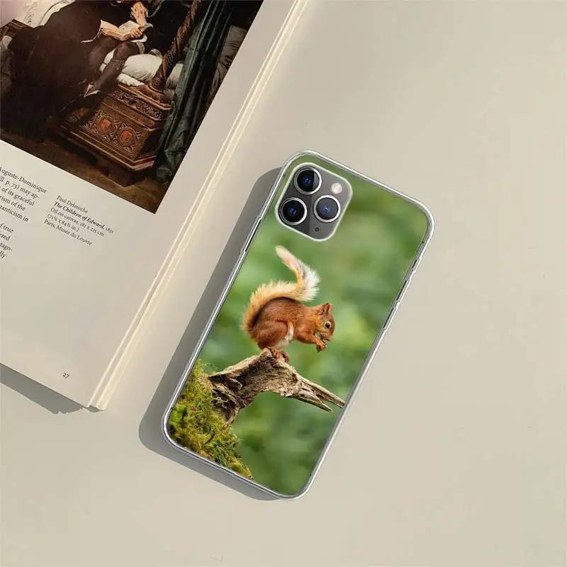 Forest Squirrels Foraging For Food Phone Case For Apple Iphone 15 14 13 16 Pro Max Cover 11 12 Mini Fundas X XS Max XR 8 7 Plus