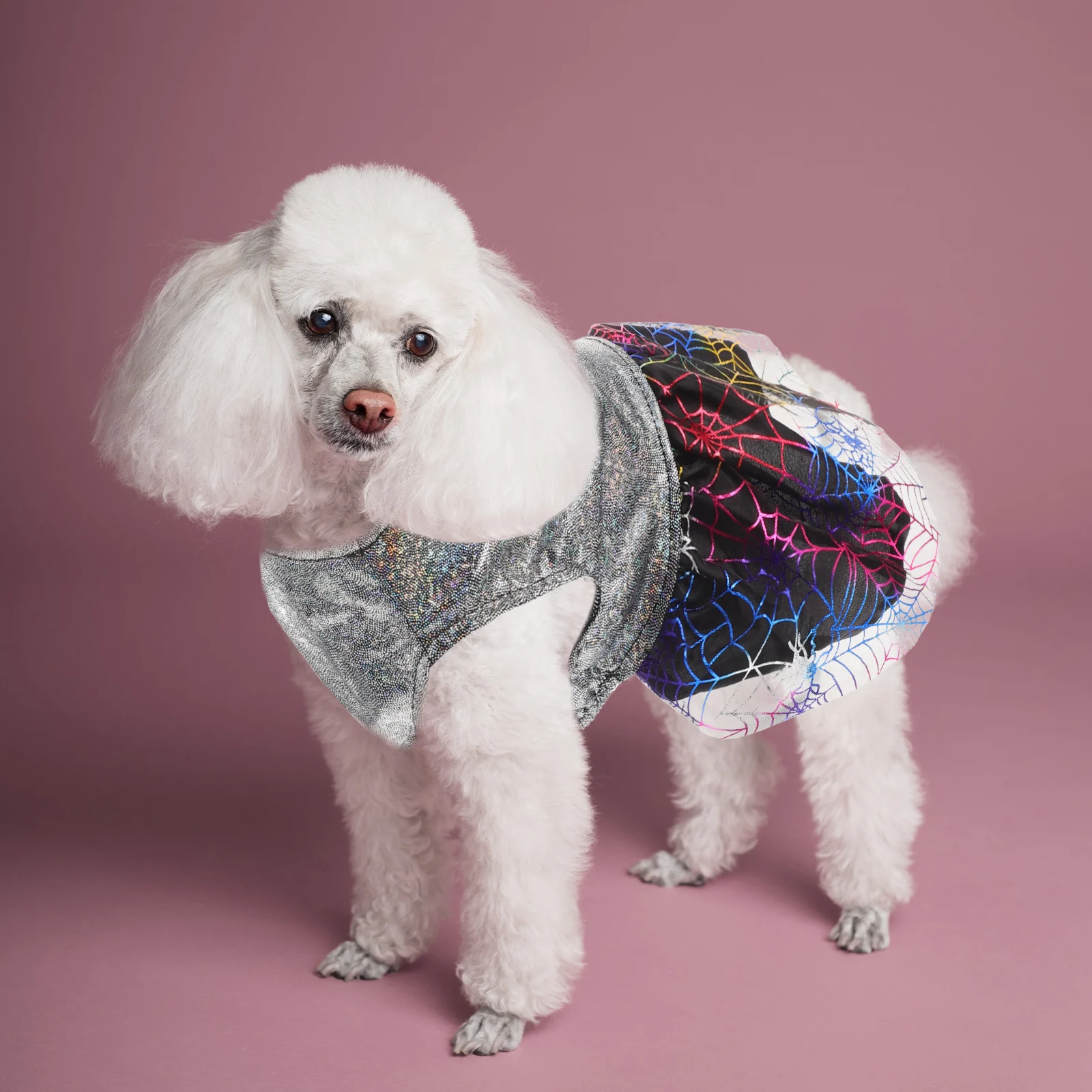 

Fashionable Dog Halloween Costume Reusable Skirt with Spooky Web Design Lightweight Comfortable Fit for Small Pets Party Ready