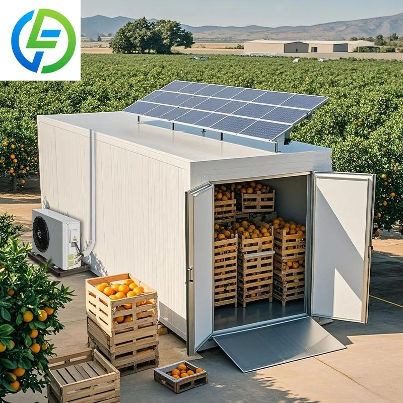 FOODLINE Anti-corrosion Solar Refrigerated Container Salt Spray Resistant For Seafood Port Frozen Cargo Logistics Unit