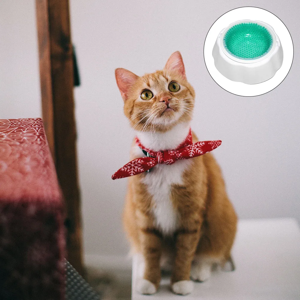 

Pet Bowl Cooler Design PP Material Easy to Clean Indoor Dog Cat Drinking Bowl Water Cooling Frosty Pet Feeder Daily Supply
