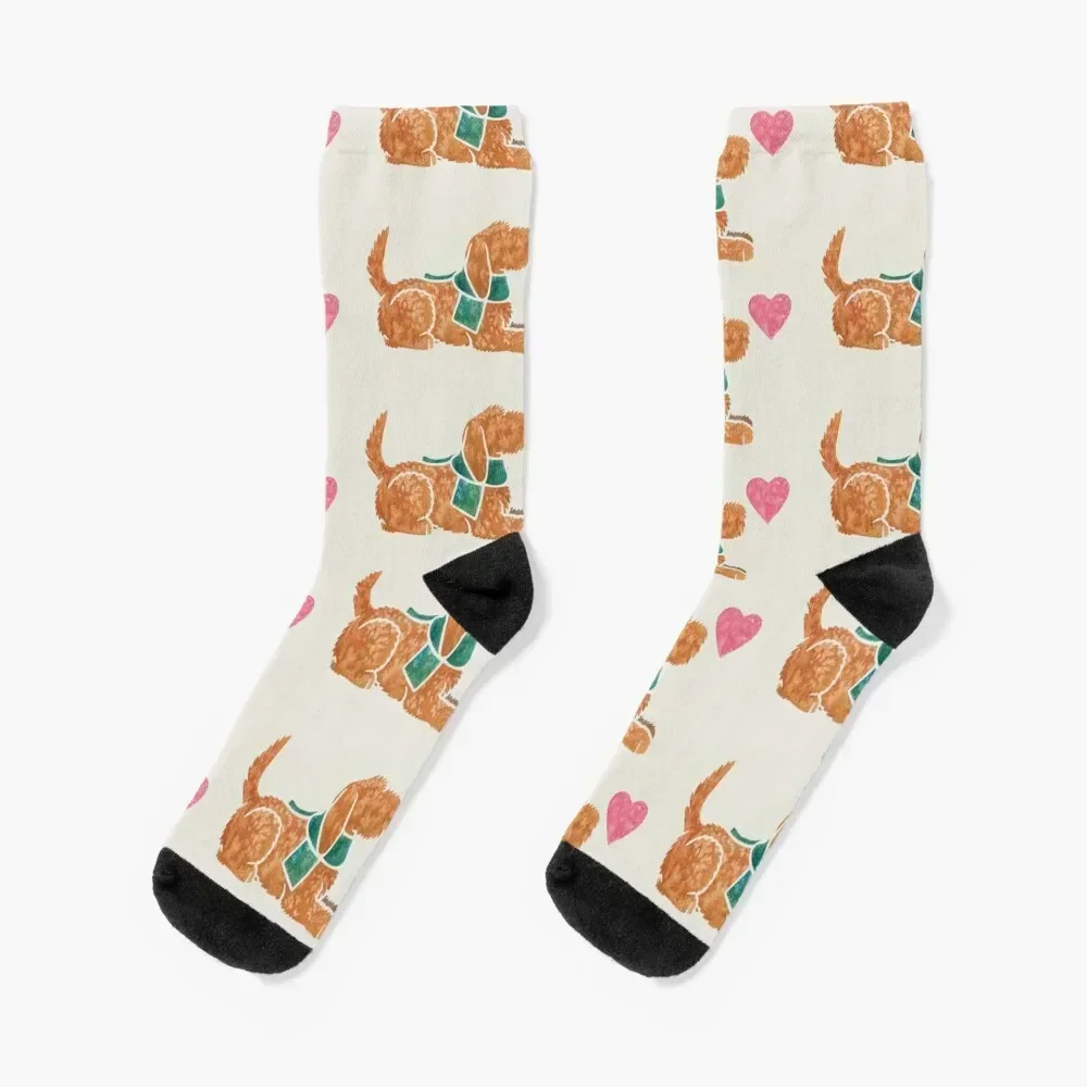 

Watercolour Basset Fauve de Bretagne Socks cotton Stockings compression happy luxe Woman Socks Men's