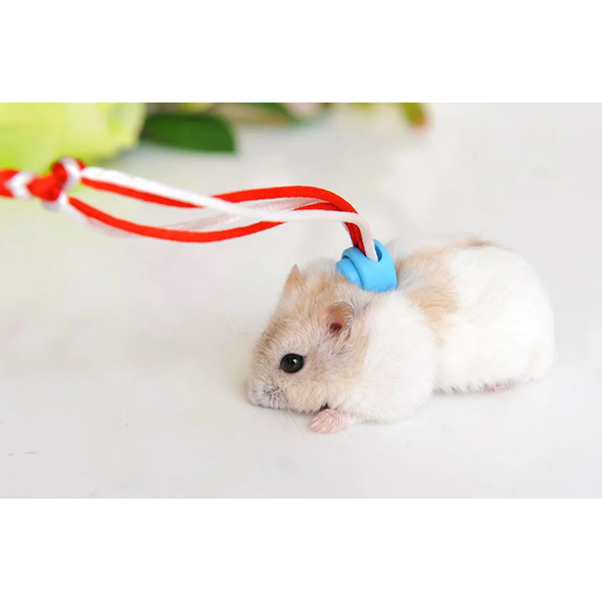 Hamster Lead Leash Adjustable Harness Collar 2m Soft Comfortable Handle Walking Lead for Small Rabbit Squirrel Pig Pets