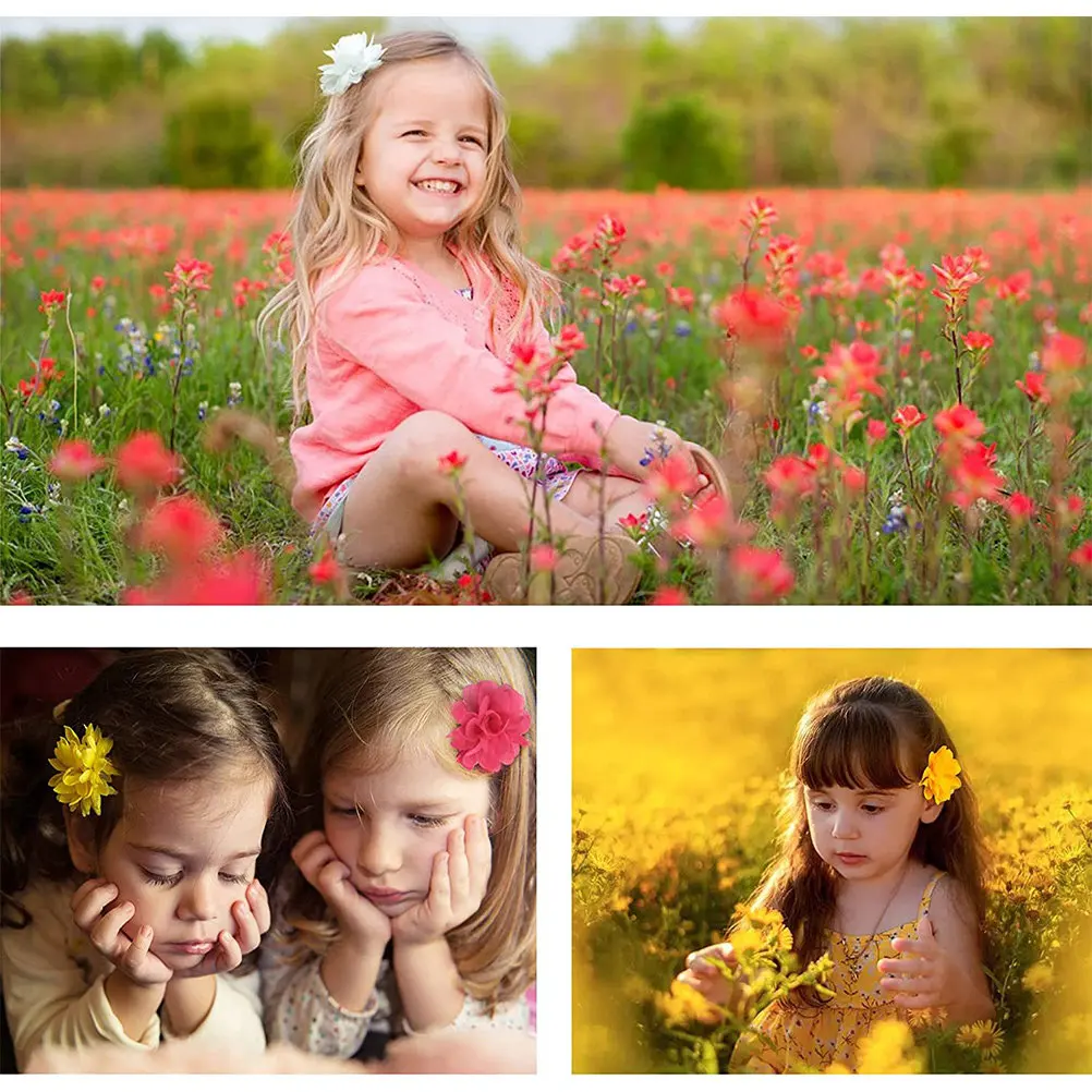 

20Pcs Flower Hair Clips Chiffon Flower Hair Accessories for Ideal for Birthdays Christmas Holidays