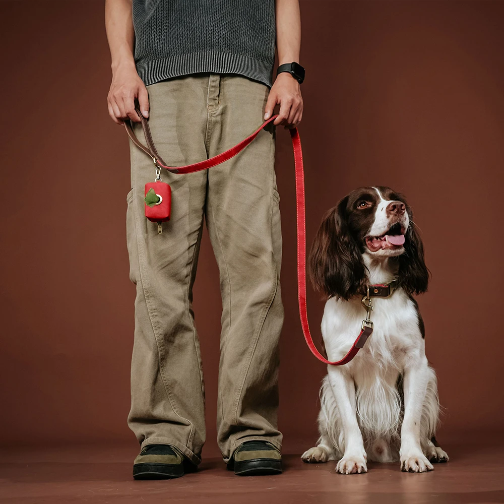 1,5m Lange PU-Leder Gepolsterte Hundeleine Langlebige & Retro-Hundeleine für Kleine und Mittelgroße Hunde in 9 Farben Erhältlich – Detail 20