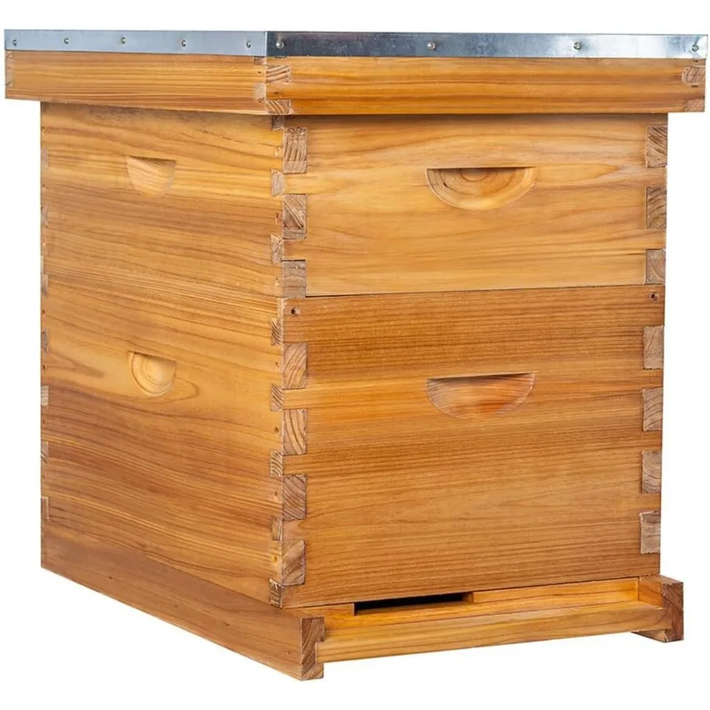 Beehive- 8 Frame Bee Hive Starter kit, Beeswax Coated Hive for Bee Keeper, Bee Hives Include 1 Deep and 1 Medium Bee Box