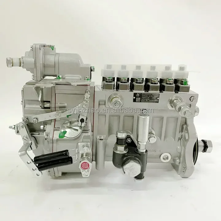 

B6PNQ586 WD612601080575 Diesel Engine Parts Injection Pump 615