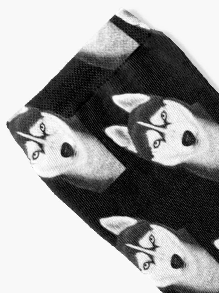 Black husky on black Socks hiphop warm winter Non-slip funny gifts Woman Socks Men's
