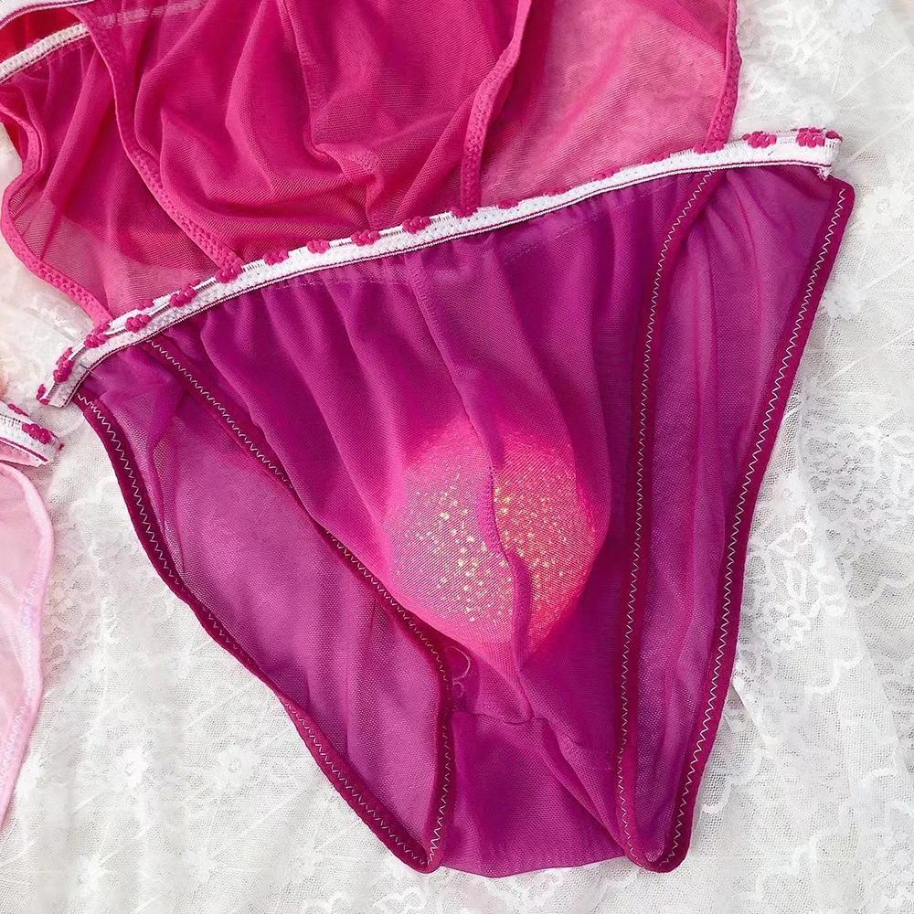 Underpants Panty Panties Underwear Sheer Mesh Bulge Pouch Bikini Briefs Thongs for Men's All Seasons in Random Color