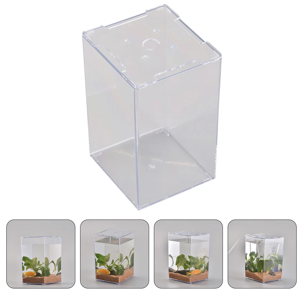 

Betta Fish Tank Decor Desktop Small Transparent Container Acrylic Cylinder Miniature Aquarium