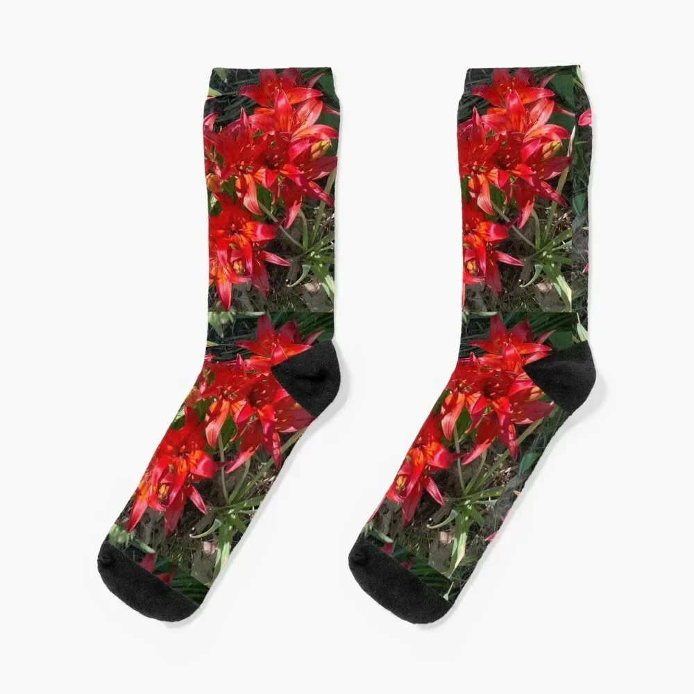 

Red Lily Explosion Socks compression new year halloween Climbing Socks Men Women's