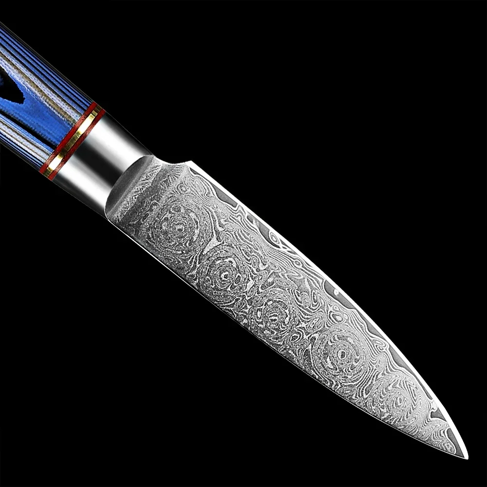 Professional Damascus Paring Knife 3.5 Inch Japanese Utility Knife Ultra Sharp Fruit Carving Knife Kitchen Cut Blue G10 Handle