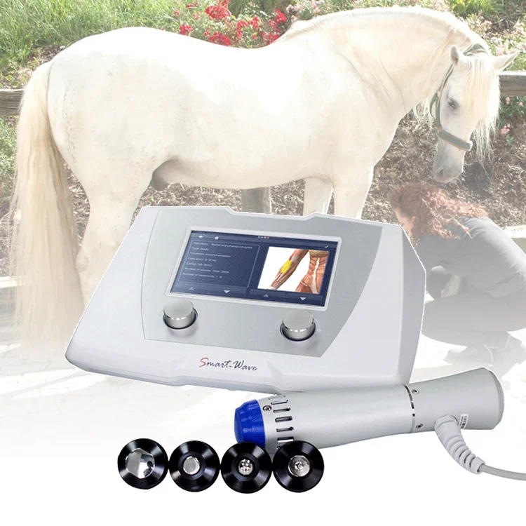 Human Treatment In Veterinary Animal Care Shockwave Therapy ESWT Device