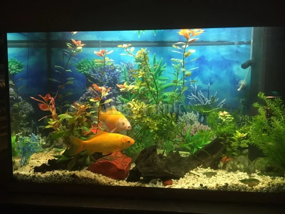 Mr.Tank PVC Aquarium Background Poster Fantasy Mountain View Fish Tank Backdrop Fantasy HD Aquarium Decorations image 3