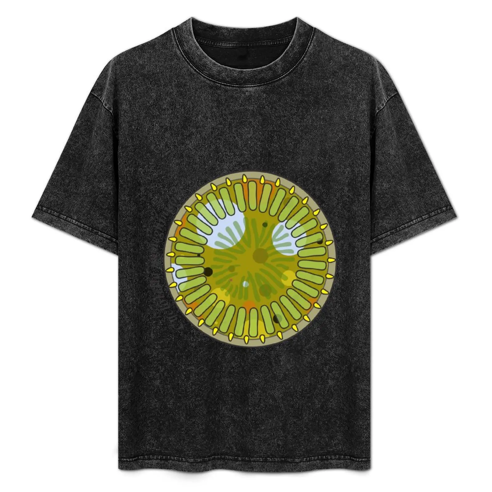 

Diatom - Cyclotella meneghiniana (scientific) T-Shirt anime sports fans kawaii clothes plus size tops men t shirt
