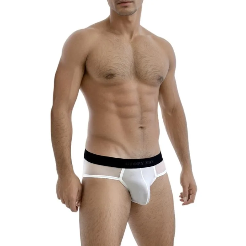 Mens Underwear Sexy Translucent Thin Mesh U Convex Pouch Low Waist Briefs Breathable Sexy Underwear for Men