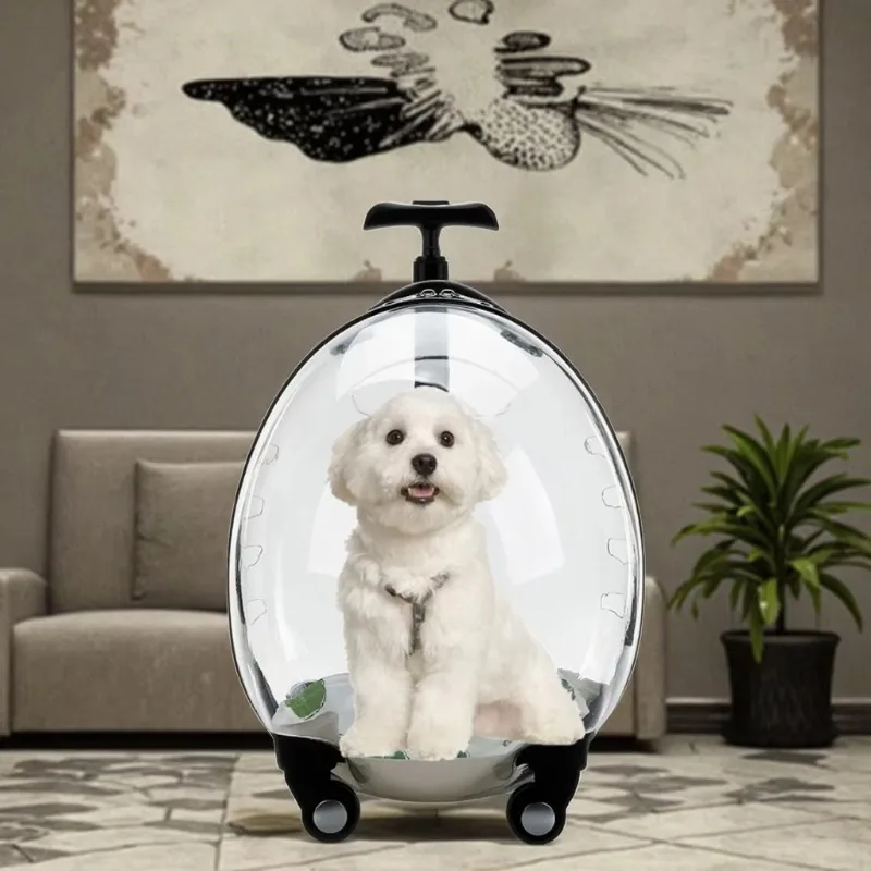 

Large Luxury Dog Cat Wheeled Trolley Transparent Outdoor Pet Case Solid Pattern Plastic Pet Carrier Zipper Closure Dog Stroller