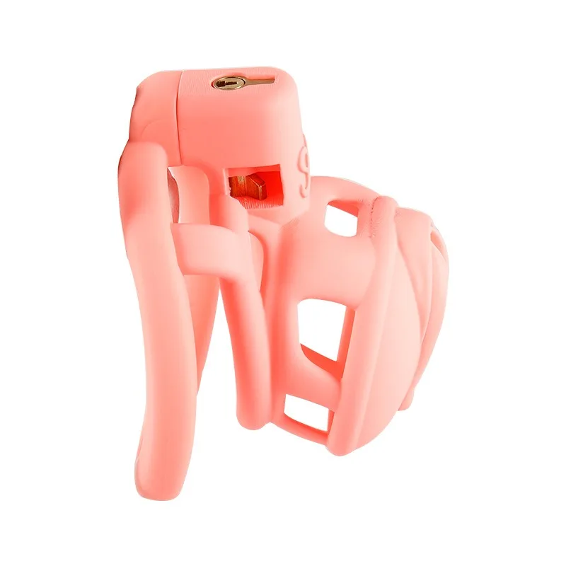 3D Printed Pink Sissy Chastity Cage set Urethral Lock Male Restraint Device Personal Training Private Adult Massage Toy For Men