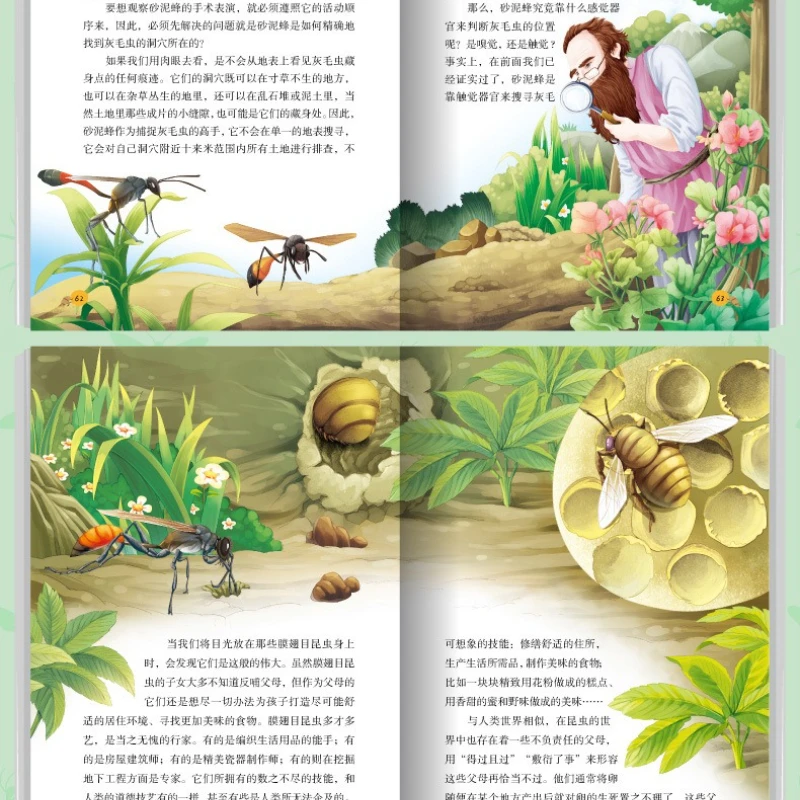 Children's Extracurricular Science Popularization Encyclopedia, Walking Into The Magical Nature Series Insect Chronicles