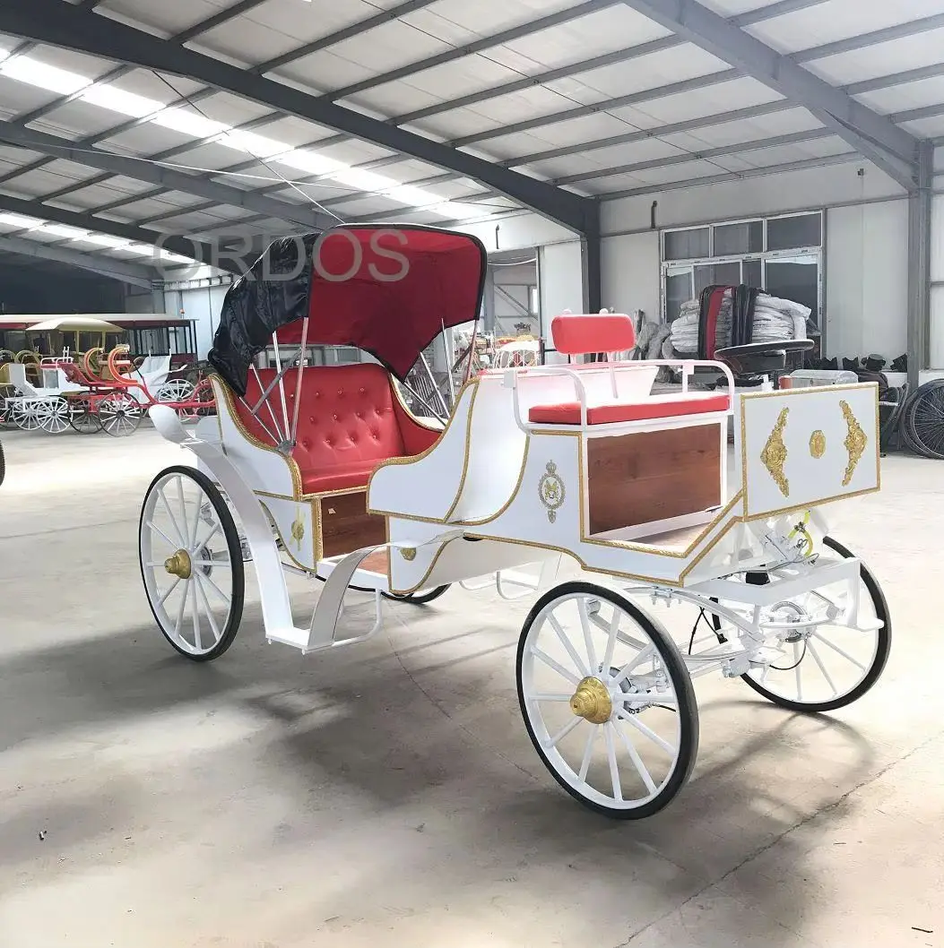 Carro victoriano dibujado de caballos/buggy de caballos de boda