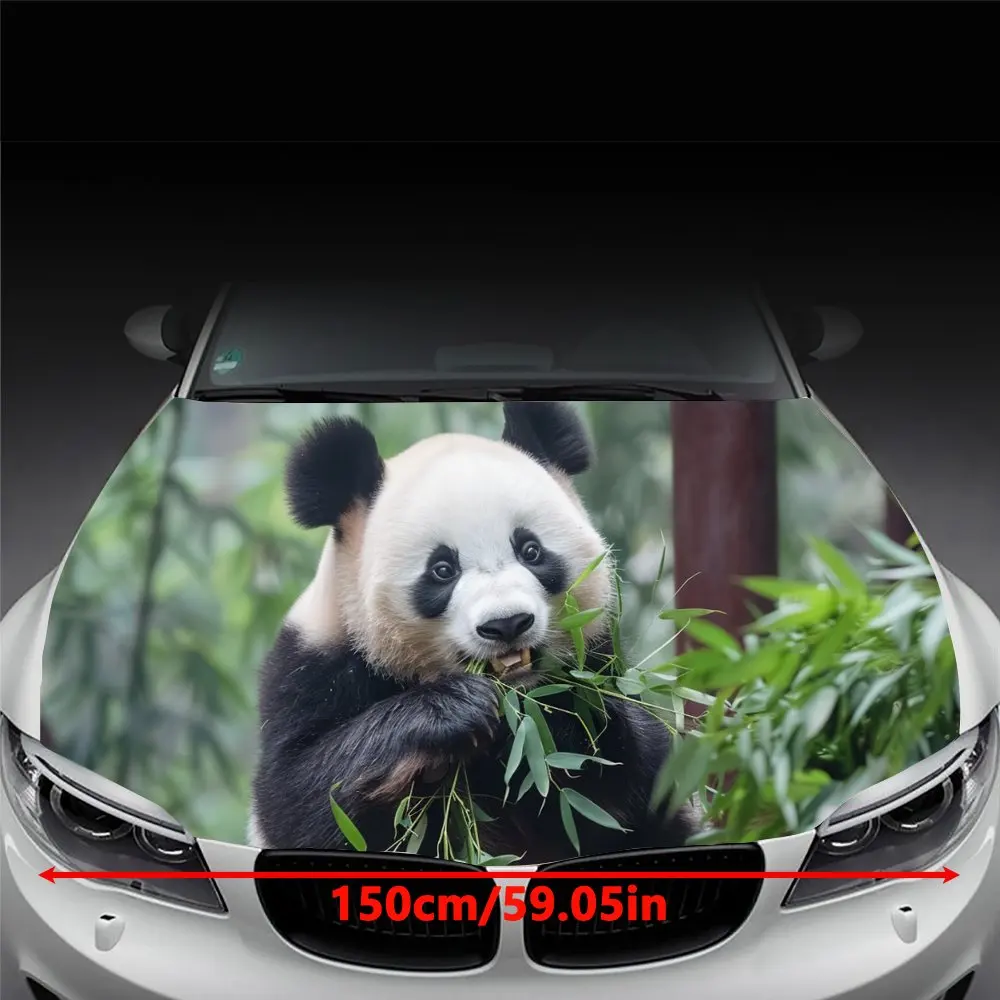 Animal Panda Eating Bamboo Car Hood Wrap Color Vinyl Sticker Truck Graphic Bonnet DIY Auto Accessories Decoration Decal Gift