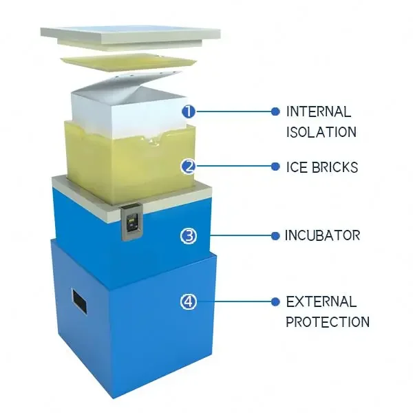 New Product 2023 Popular Medical Cooler Box With Digital Thermometer