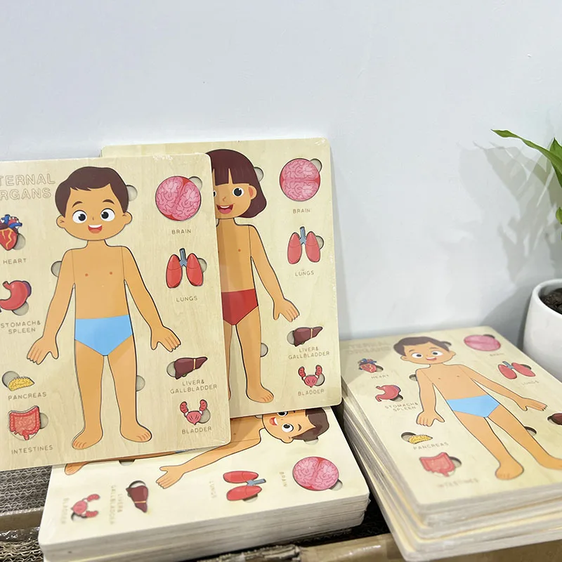 Children Montessori Educational Wooden Toys Boys Girls Body Structure Human Body Organ Puzzle Cognitive Board