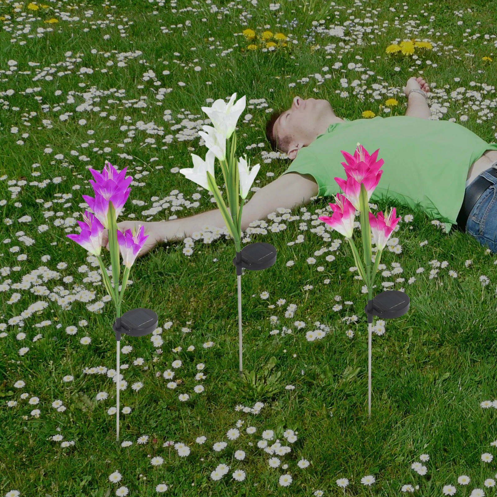 

3 Pcs Solar Powered LED Flower Lights White Pink Purple Lawn Garden Decor Outdoor Yard Stakes Lighting
