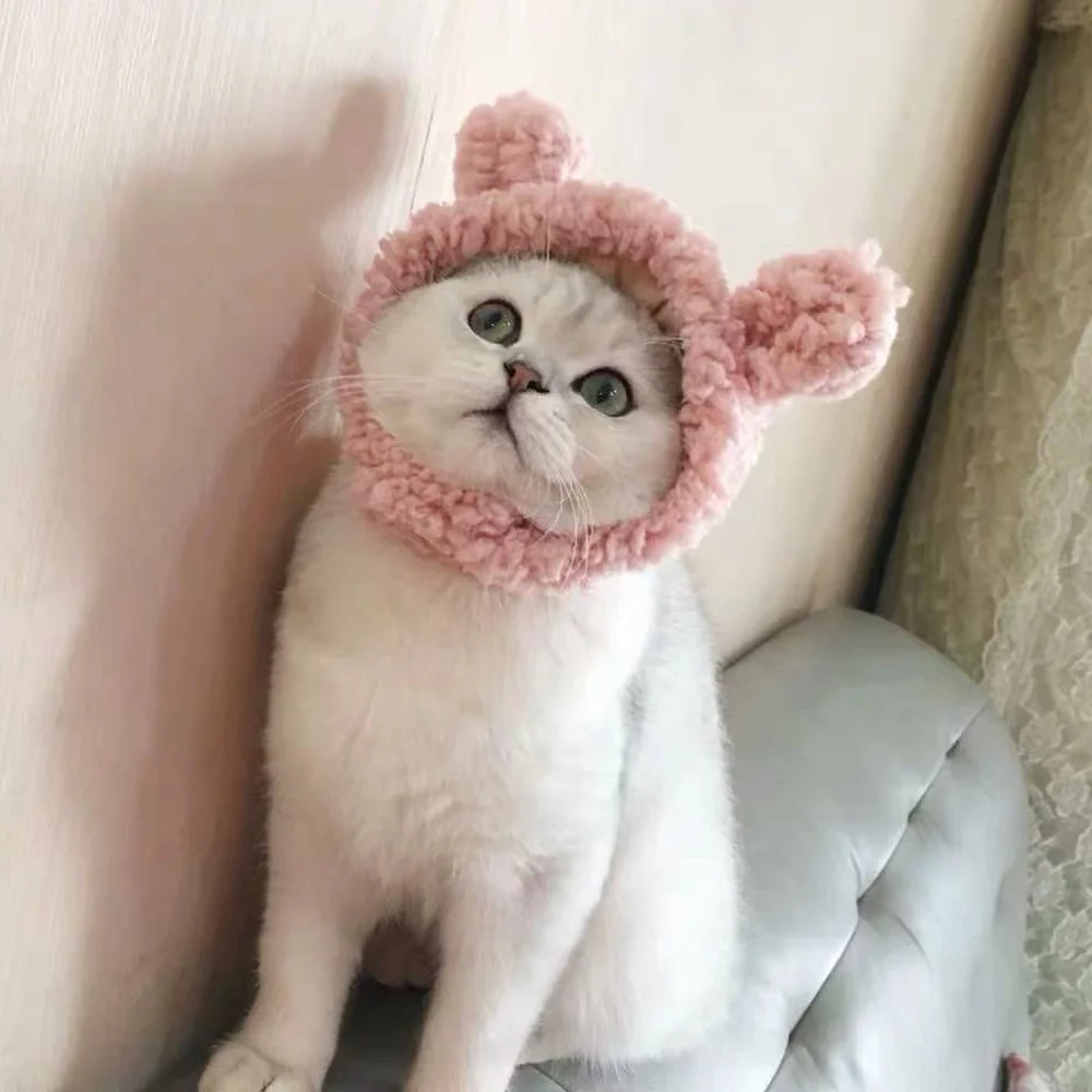 Cat Headgear Dog Headgear Hat Birthday Dress Up Headdress Plush Funny Cute Rabbit Ears Pet Supplies Pet Accessories Cat Hat